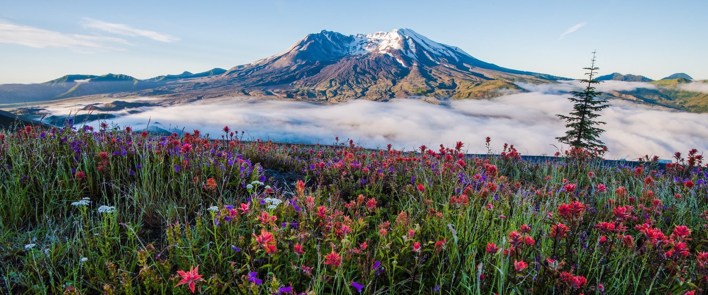 Mount St Helens in Summer rough and scenic hike