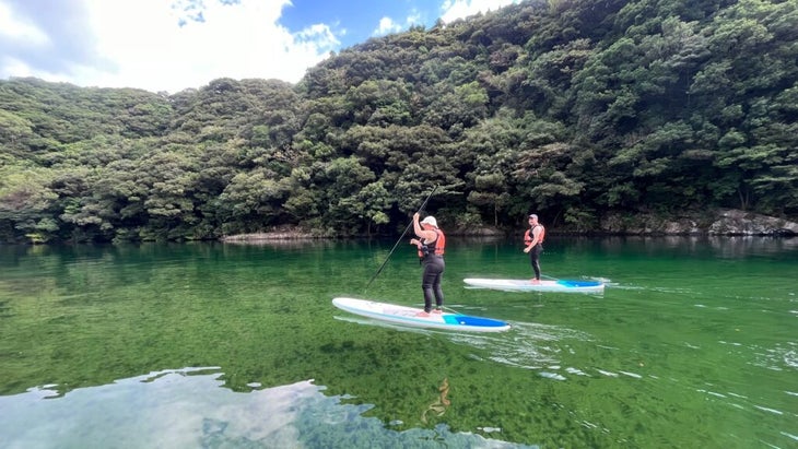 A man and a woman ply the green waters of the Anbo River, in Yakushima, Japan, atop their stand-up paddleboards.