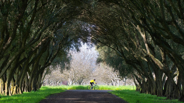 Cyclist on country road in Davis, California