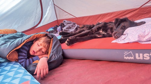 boy and dog sleeping in tent on the 4th of July