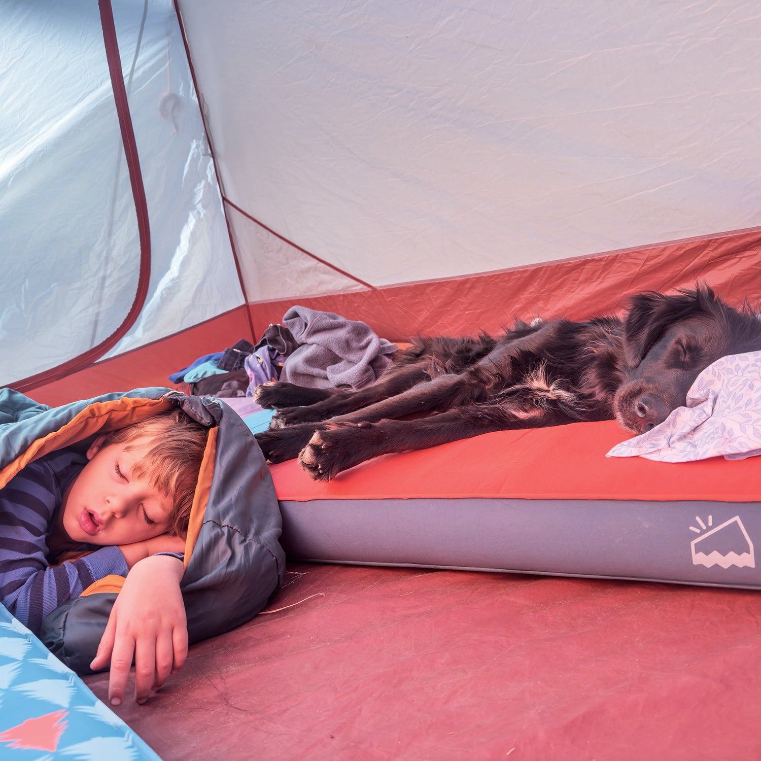 boy and dog sleeping in tent