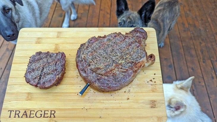 Three dogs look at a steak