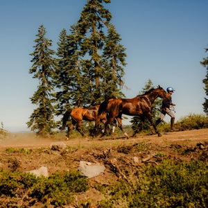 Alexandra Lewis, from Bend, Oregon, encourages her charges into Robinson Flat.