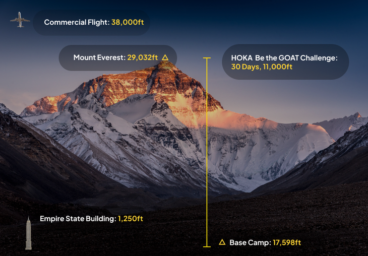 Hoka challenge