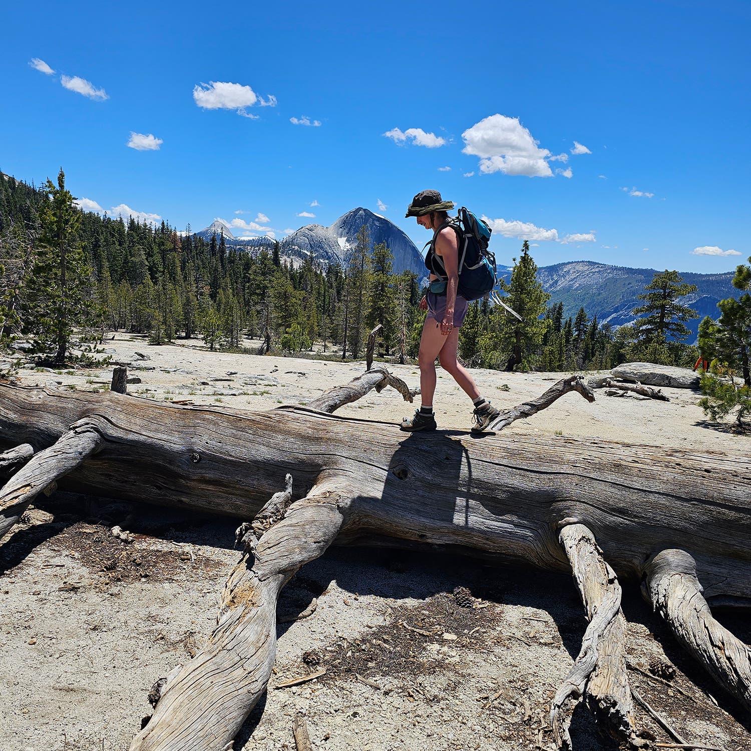 Adventures along the way