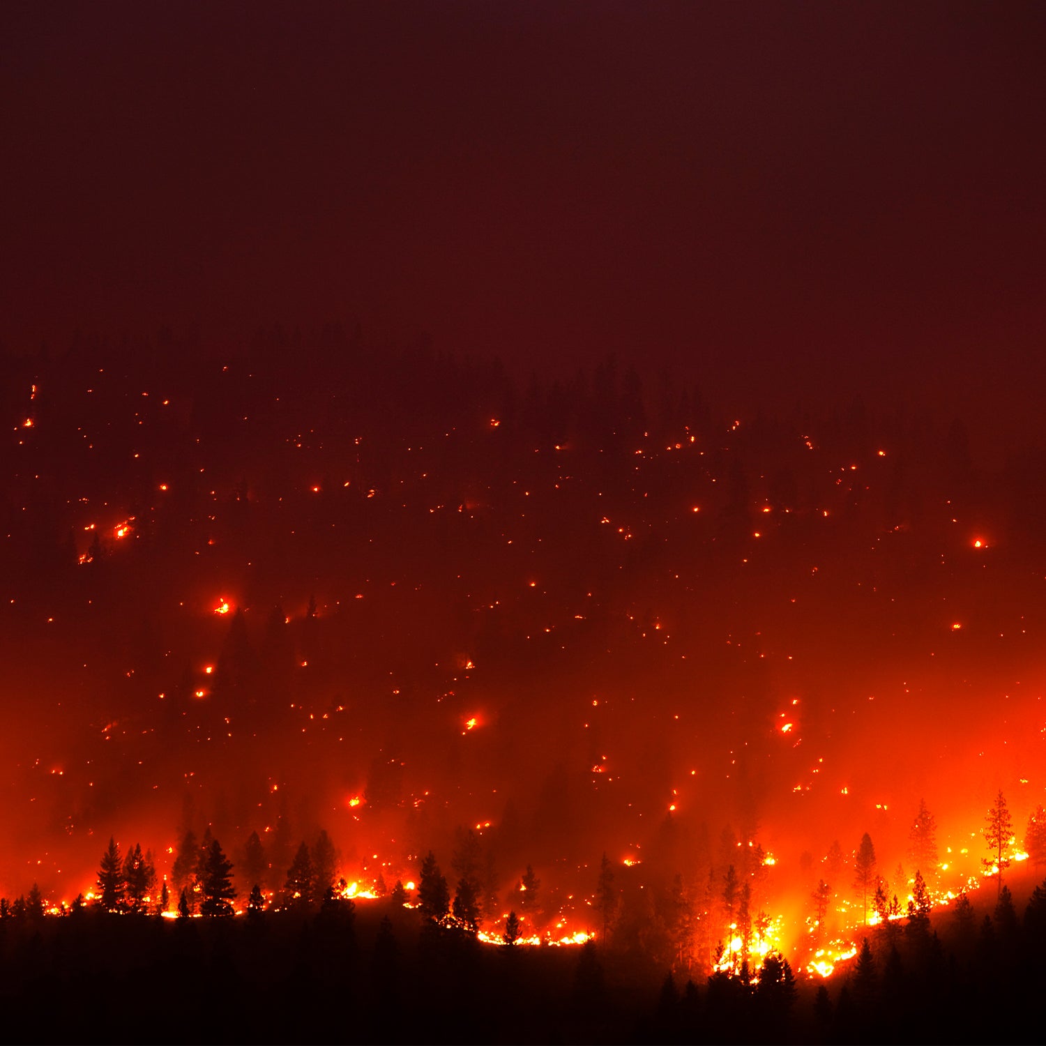 Jasper wildfires rage on July 22.