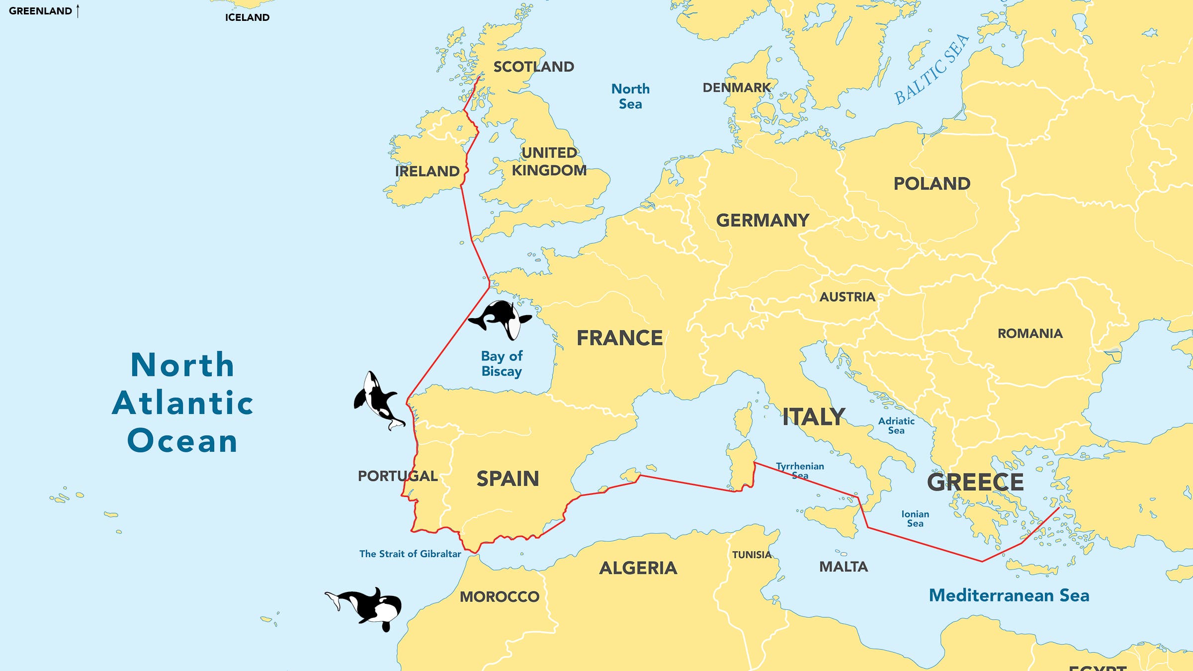 Map of orca locations, illustration