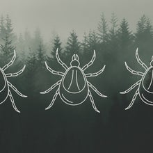 three ticks on a forest background