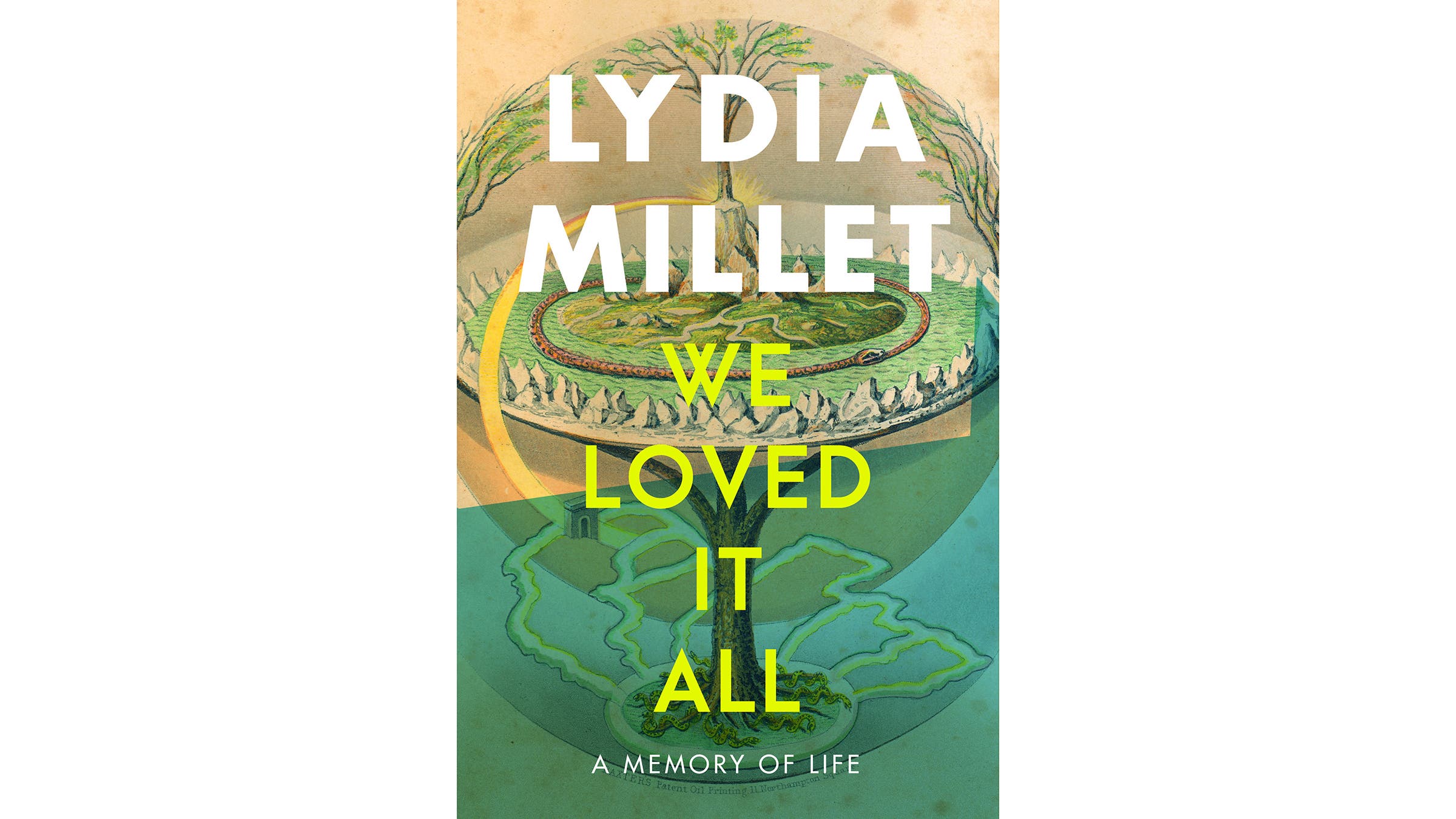 We Loved It All: A Memory of Life, By Lydia Millet