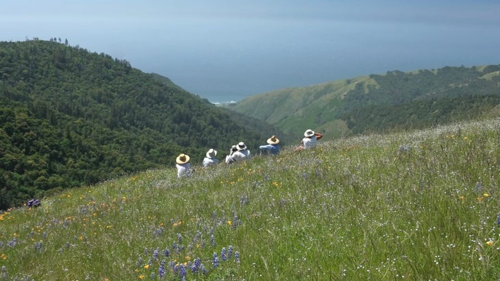 A half dozen hikers, all wearing brimmed sun hats, sit in a field of wildflowers and look out toward the Pacific Ocean and hills of Big Sur, California.