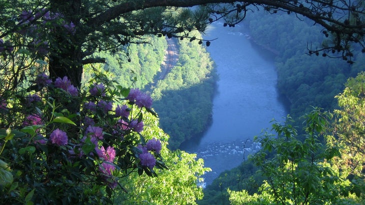 overlook at Grandview