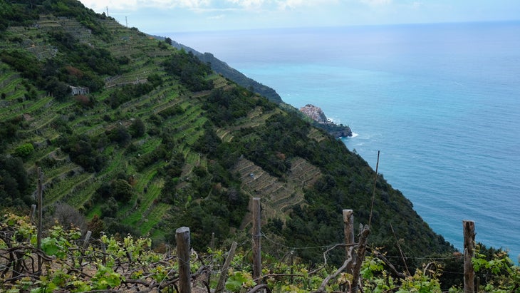 Cinque Terre National Park