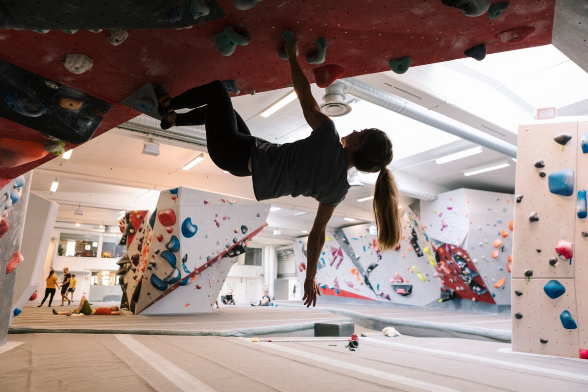 Can Climbing Outrun Its Own Elitism with Inclusive Gym Pricing?