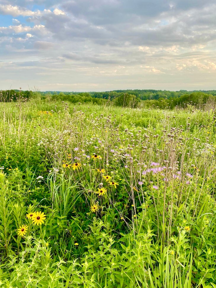 Carver Park Reserve