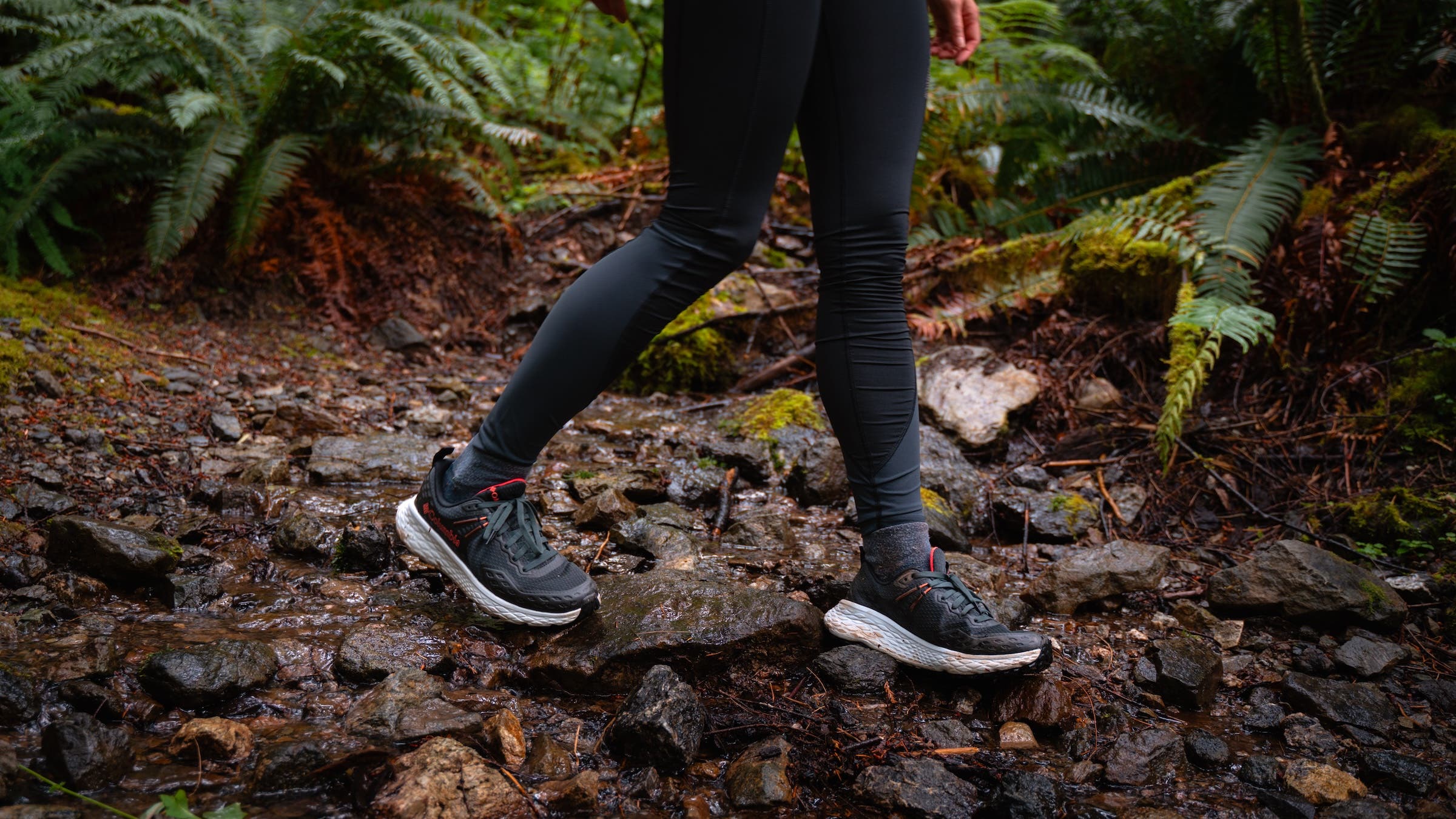 The Baker Lake Trail Columbia long trails Konos hiking