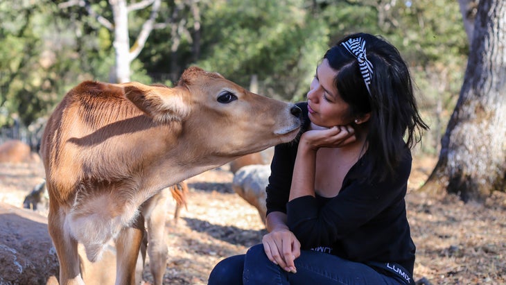 calf and woman