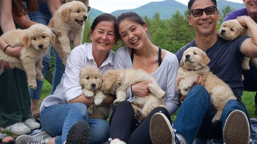 family at Golden Dog Farm