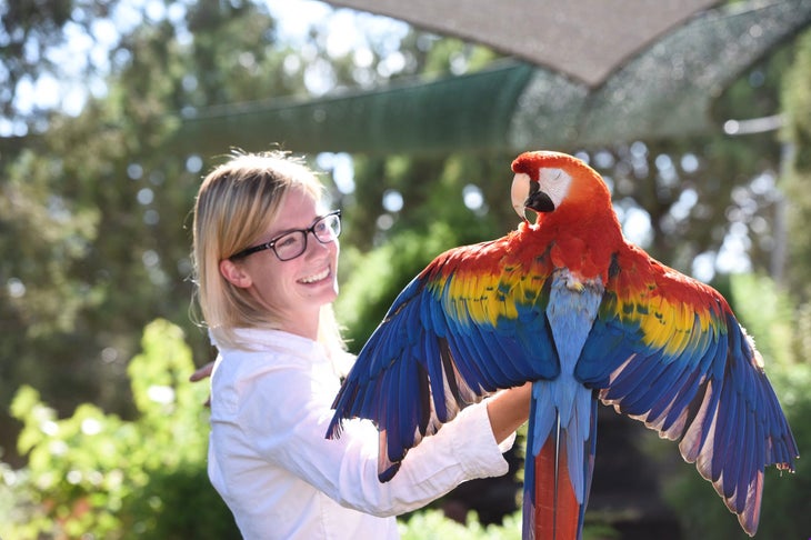 woman and parrot