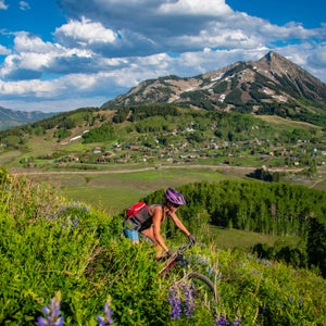 Snodgrass Trail, Crested Butte, Colorado