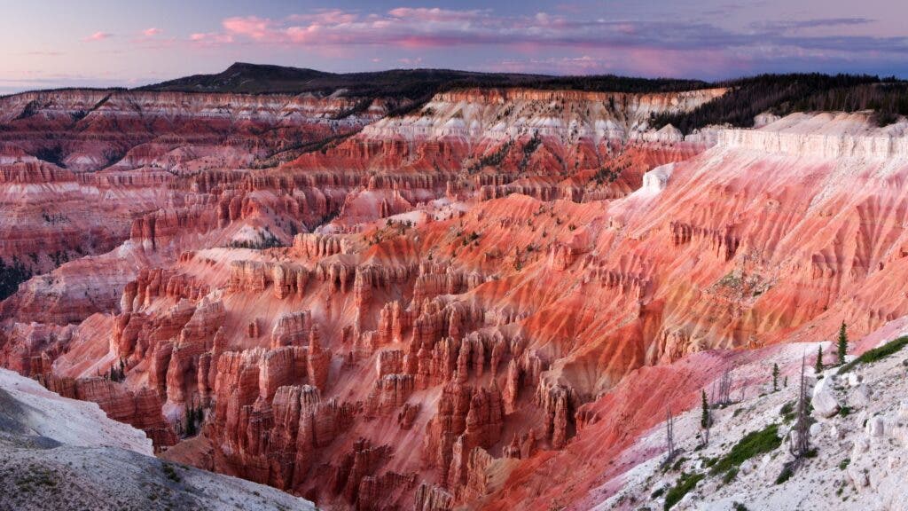 A wide view of one of the hoodoo-filled canyons at Utah’s Cedar Breaks National Monument.