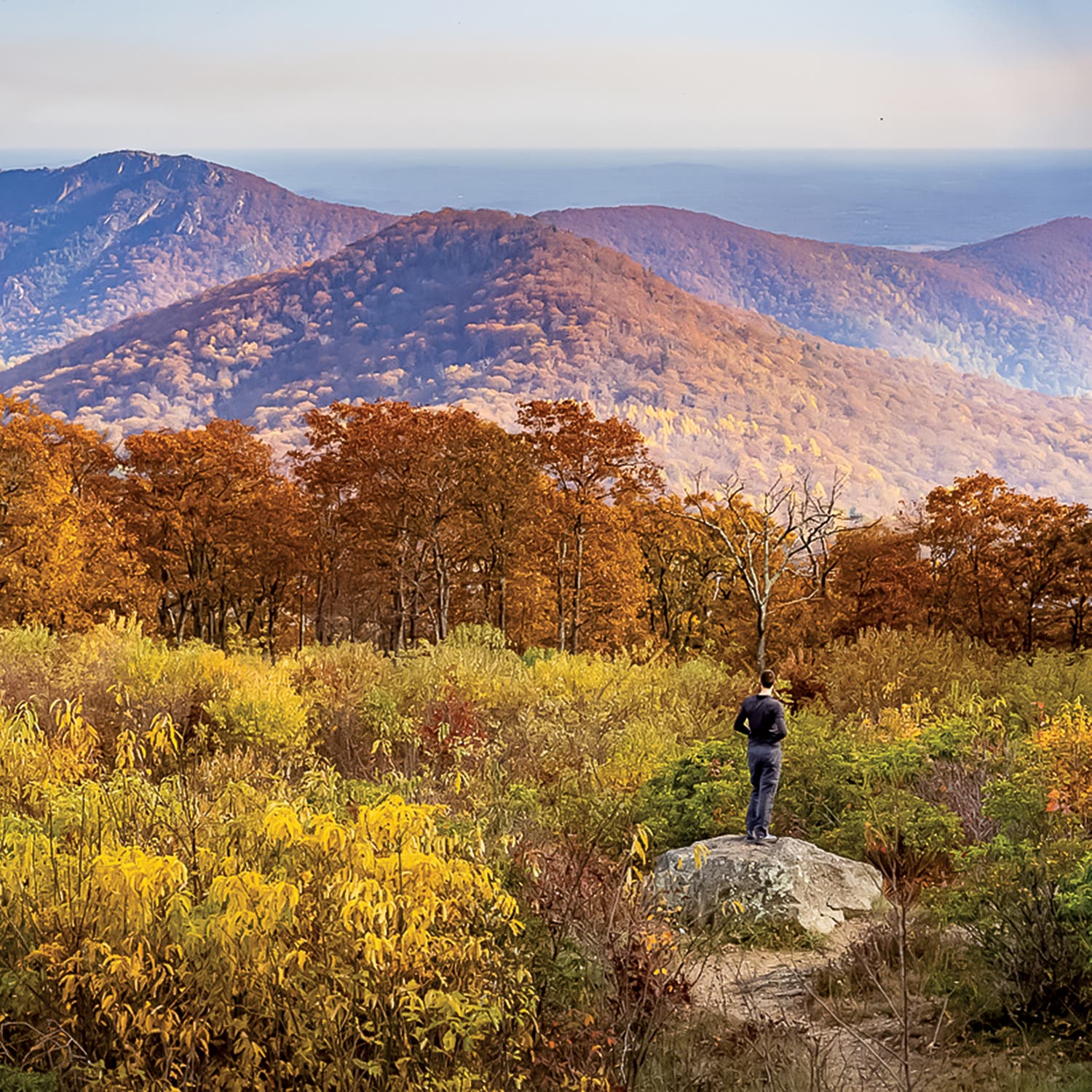 Hiking in Shenandoah National Park