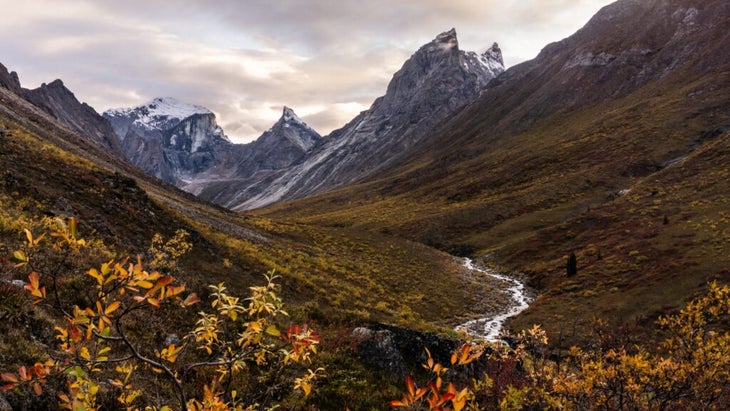 The spiky Arrigetch Peaks tower above a glacial valley cut through by a river. 