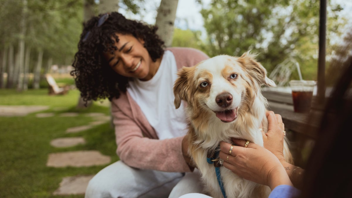 Life Lessons from a Dog: A Lesson in Community