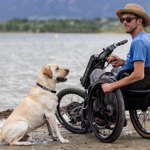 Life Lessons From a Dog