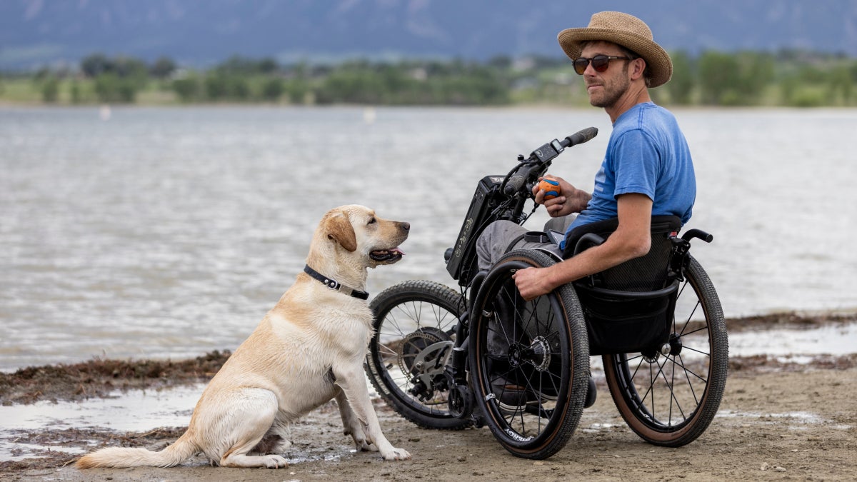 Lecciones de vida de un perro