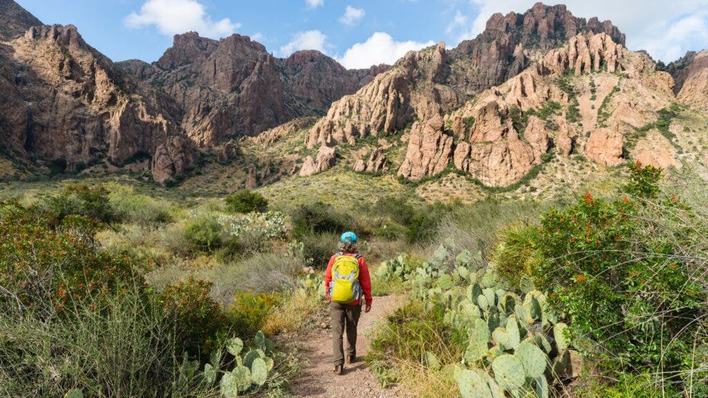 A senior woman hikes up a trail toward Big Bend’s Chisos Mountains. The trail is lined with cacti on both sides.