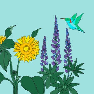 Illustration of blue green hummingbird flying near wildflowers on blue background