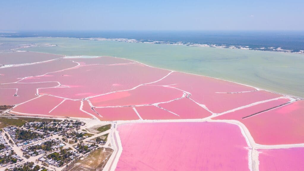 A lagoon divided by white sands into different hues of pink, with the turquoise waters of the Caribbean behind it.