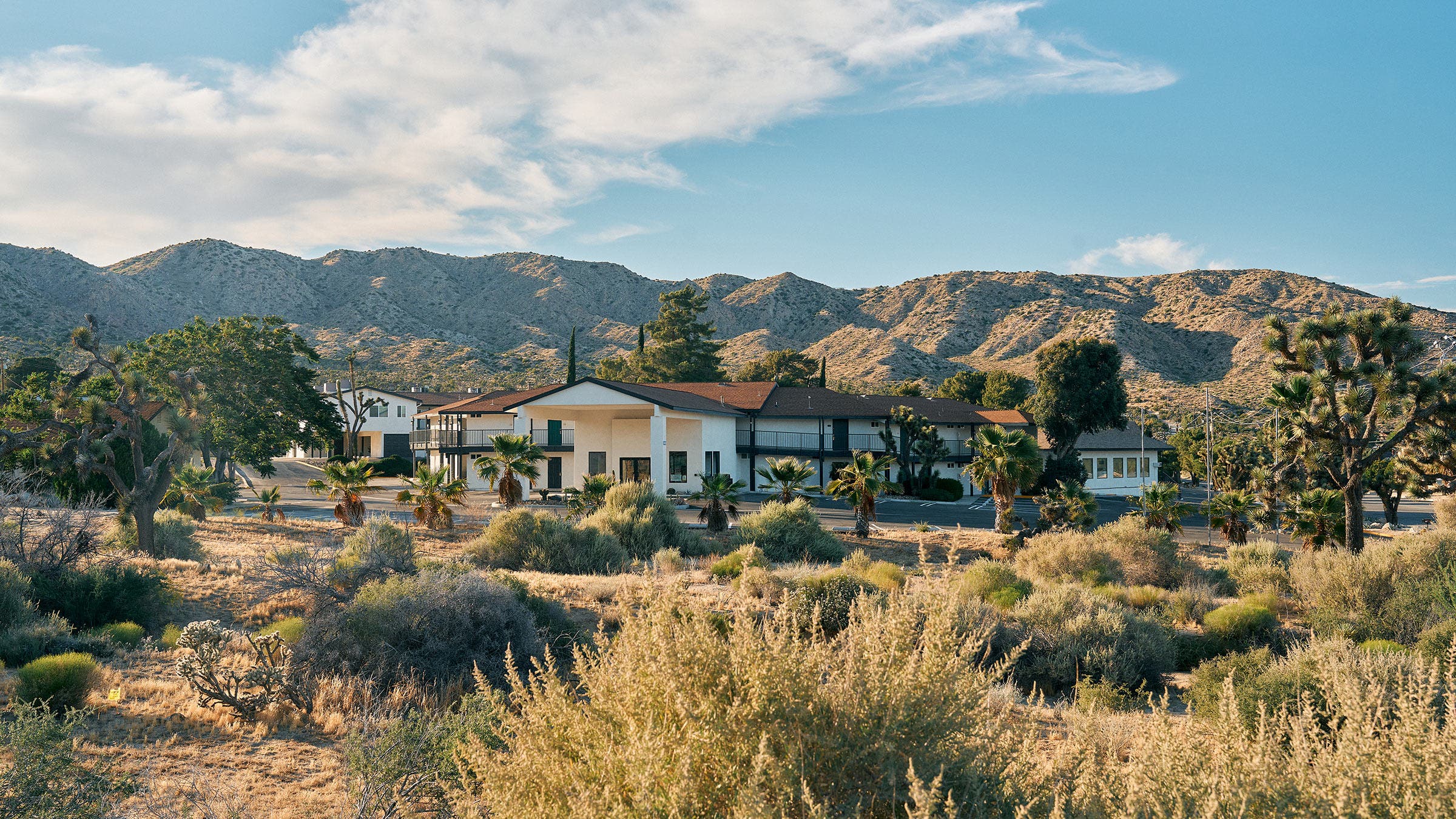 Field Station Joshua Tree