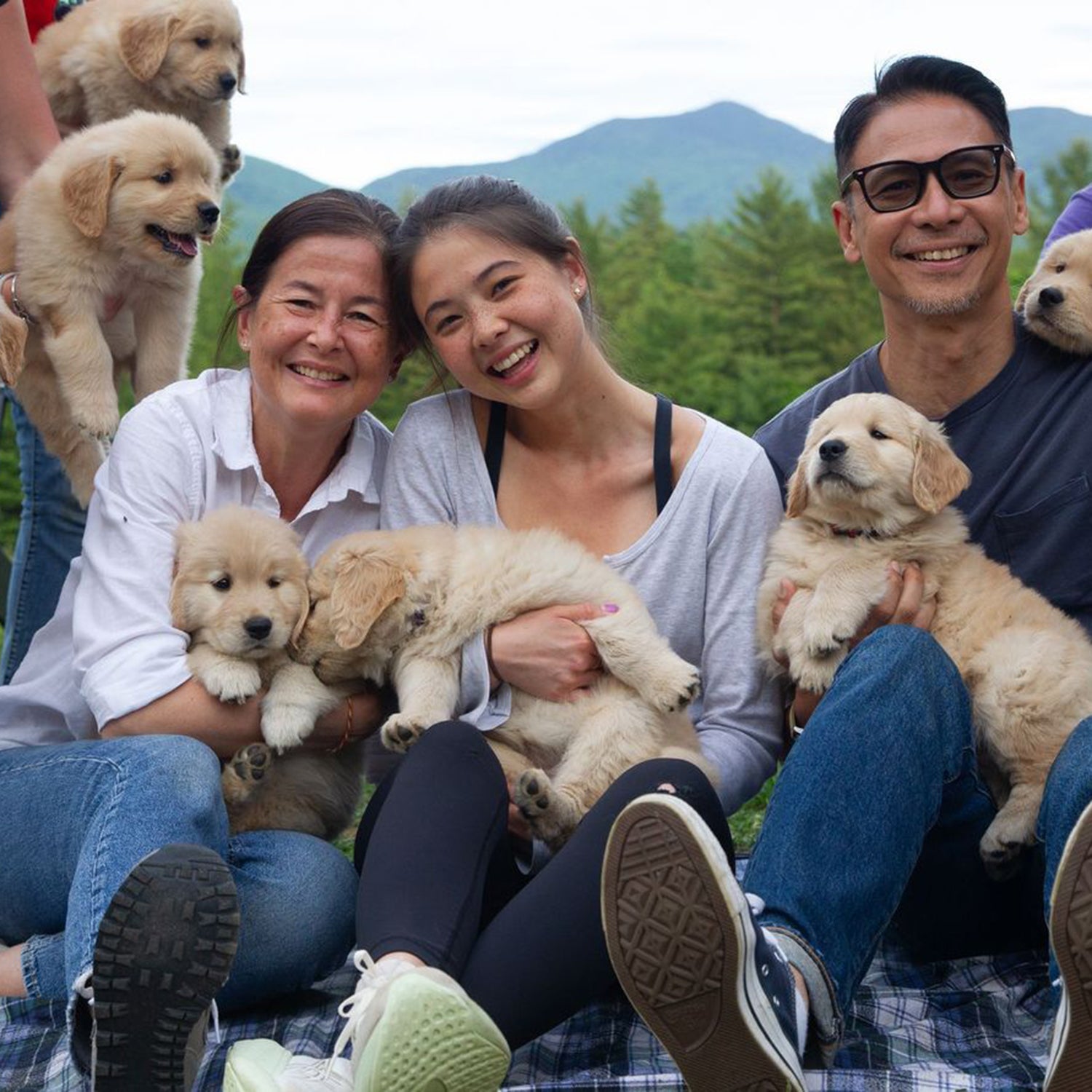 Golden Dog Farm near Stowe, Vermont