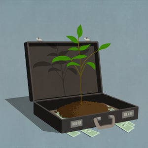 illustration of a plant growing in a briefcase of cash