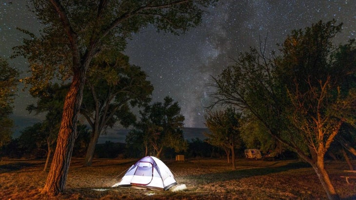 An illuminated tent is pitched between a grove of trees and above, the Milky Way shines in all its brightness.