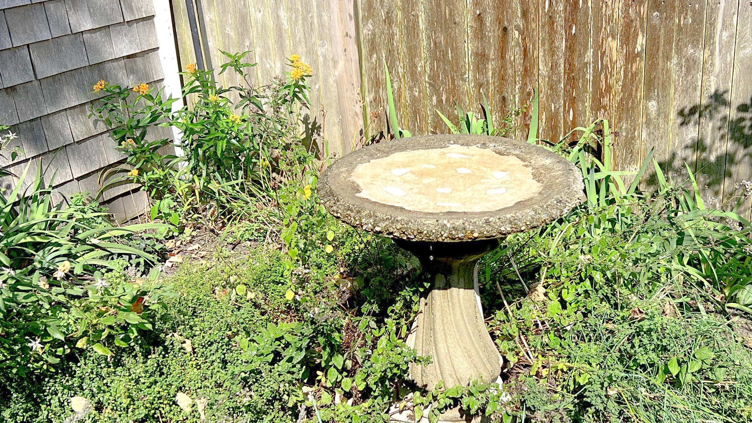 thrifted concrete bird bath in garden