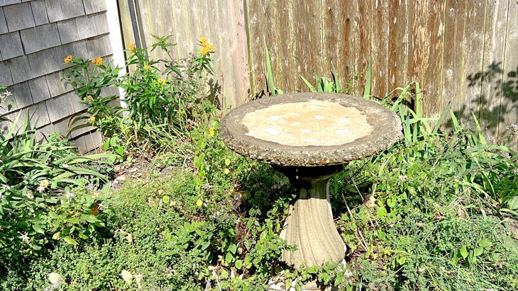 thrifted concrete bird bath in garden