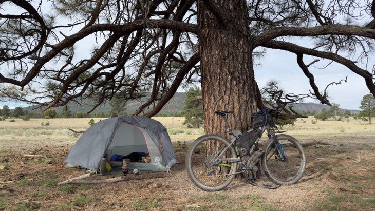 tent and mountain bike leaning against a tree