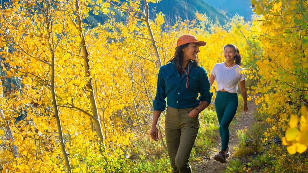 Uncover the Magic of Fall in Colorado