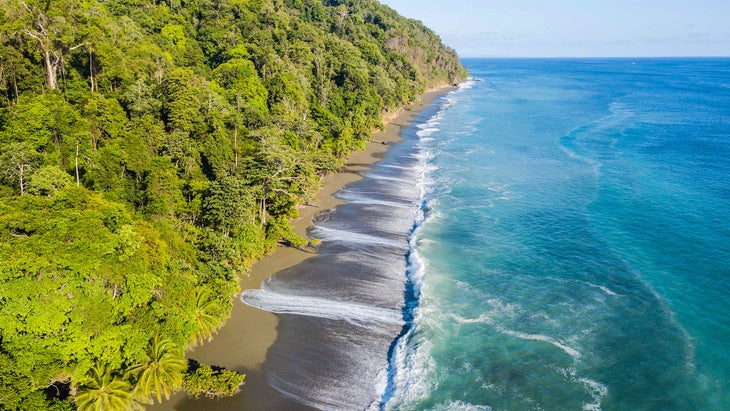 an arial view of Corcovado National Park in the Osa Peninsula