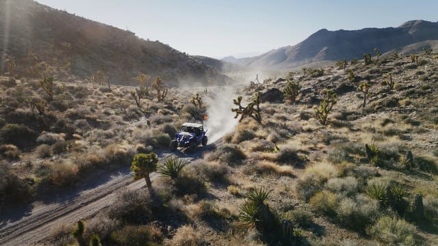 Discover a Wilder Way to Visit Las Vegas