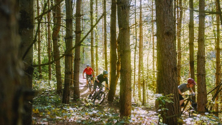 bikers on the Mount Peg’s mountain bike trails