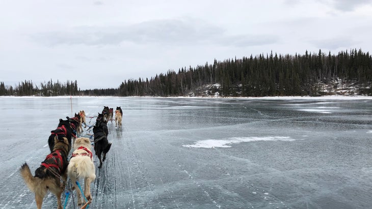 A team of sled dogs run across a frozen body of water on an overcast day