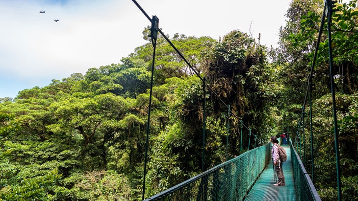 Girl walking on hanging bridge in cloud forest in Monteverde Biological Reserve