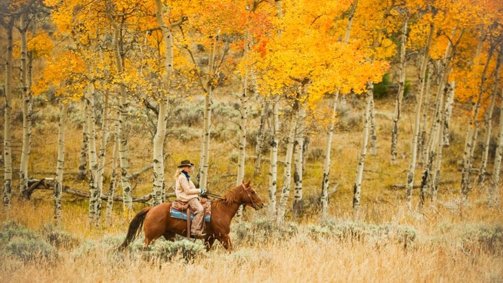 A cowgirl rides her horse in front of an aspen grove whose leaves are brilliantly yellowed by fall.