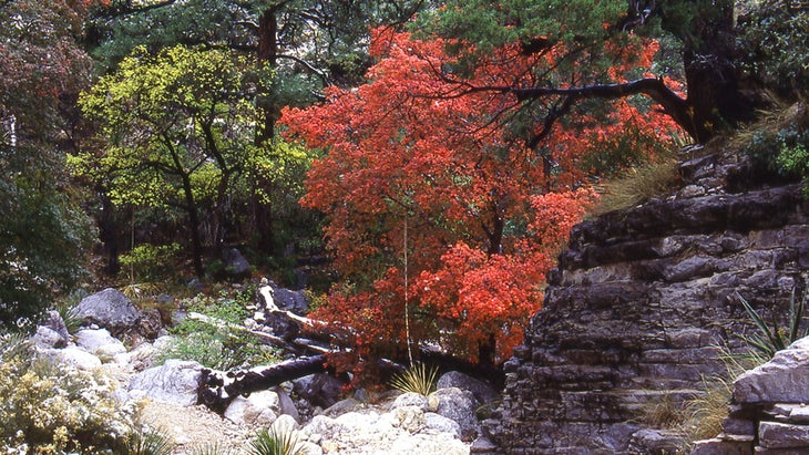 Devil's Canyon, Guadalupe Mountains National Park