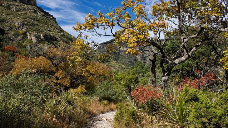 sheltered canyon in Guadalupe Mountains National Park