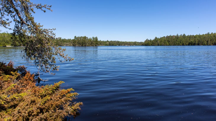 island in a bay in Voyageurs National Park