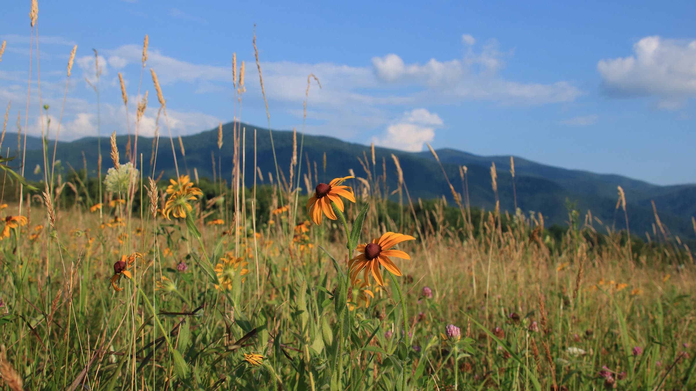 Cades Cove, Great Smoky Mountains National Park